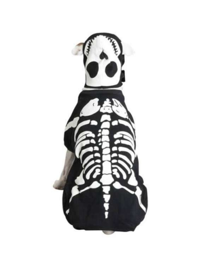 Casual Canine Glow Bones Custom - Medium