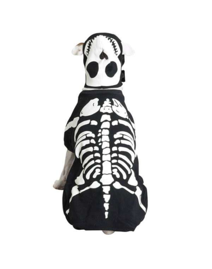 Casual Canine Glow Bones Custom - XL