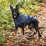 Navy - GF Pet Reversible ElastoFit Raincoat  - 4XL