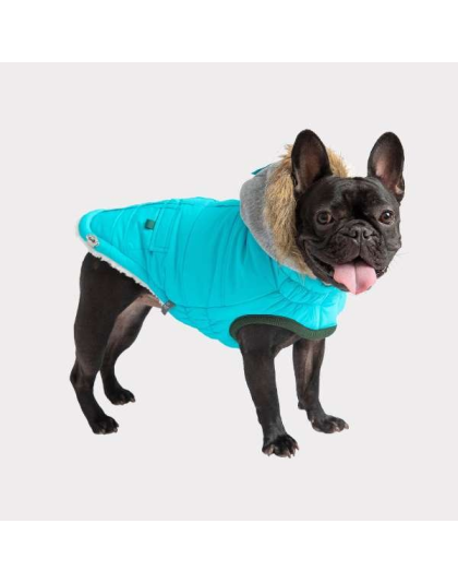 Aqua - GF Pet  Winter Sailor Parka  - XS