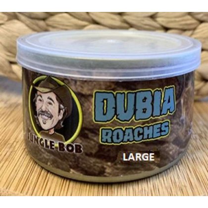 Jungle Bob Dubia Roaches In A Can Large 1.23Oz - Case Of 24 (Approx 25Ct) - Large