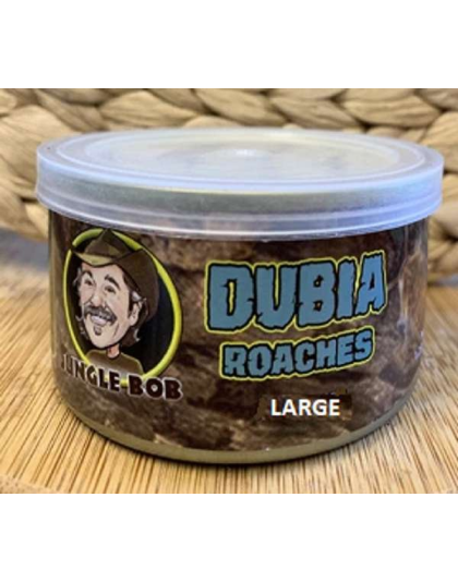 Jungle Bob Dubia Roaches In A Can Large 1.23Oz - Case Of 24 (Approx 25Ct) - Large