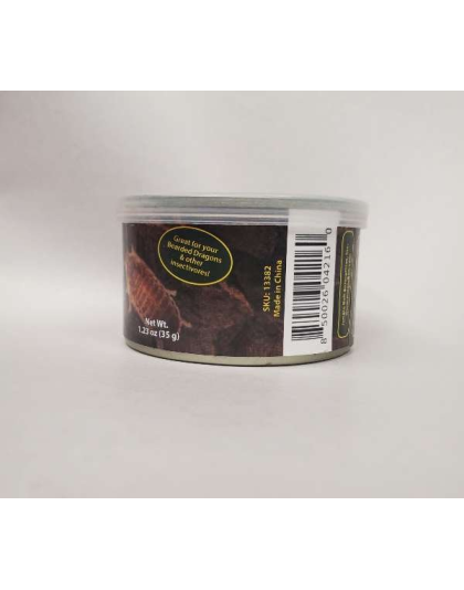 Jungle Bob Dubia Roaches In A Can Large 1.23Oz - Case Of 24 (Approx 25Ct) - Large