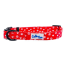 Paw Prints & Hearts Red - Cutie Ties Fun Design Dog Collar - Medium