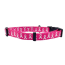 Breast Cancer Awareness Pink - Cutie Ties Fun Design Dog Collar - Medium