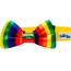 Pride Flag - Cutie Ties Dog Bow Tie - One Size