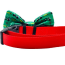 Golf Green - Cutie Ties Dog Bow Tie - One Size