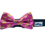 S'mores Purple - Cutie Ties Dog Bow Tie - One Size