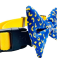 Mac and Cheese Blue - Cutie Ties Dog Bow Tie - One Size