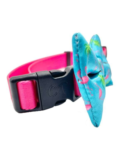 Miami Vice - Cutie Ties Dog Bow Tie - One Size