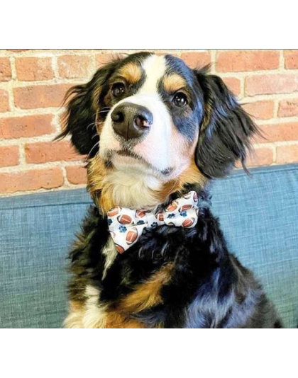 Football - Cutie Ties Dog Bow Tie - One Size