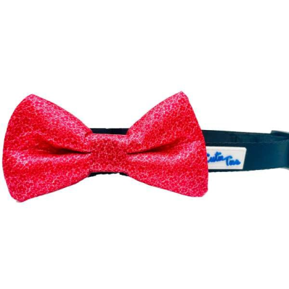 Tiny Flowers - Cutie Ties Dog Bow Tie - One Size