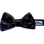 Neon Peach - Cutie Ties Dog Bow Tie - One Size