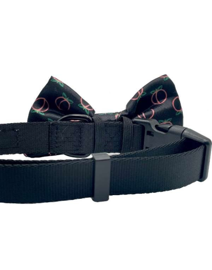 Neon Peach - Cutie Ties Dog Bow Tie - One Size