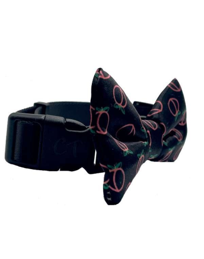 Neon Peach - Cutie Ties Dog Bow Tie - One Size