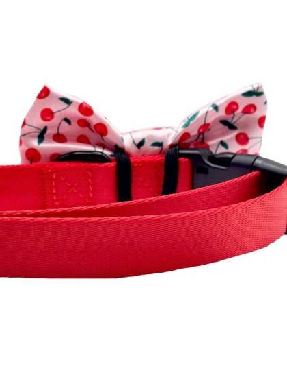 Cherries Print - Cutie Ties Dog Bow Tie - One Size