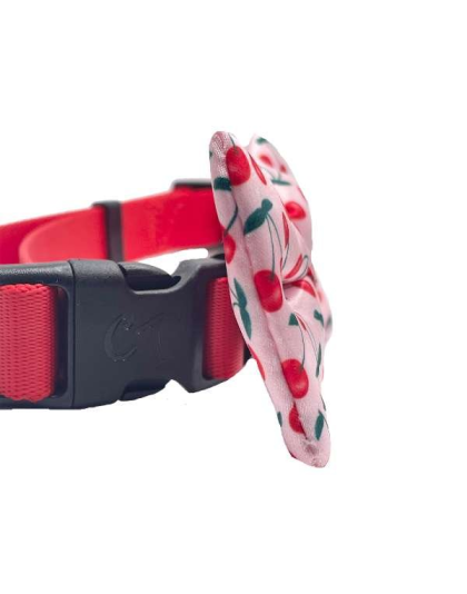 Cherries Print - Cutie Ties Dog Bow Tie - One Size