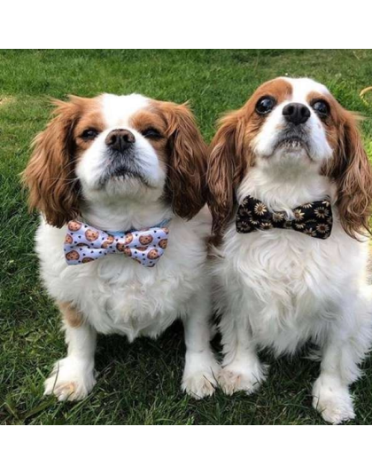 Chocolate Chip Cookie/White - Cutie Ties Dog Bow Tie - One Size