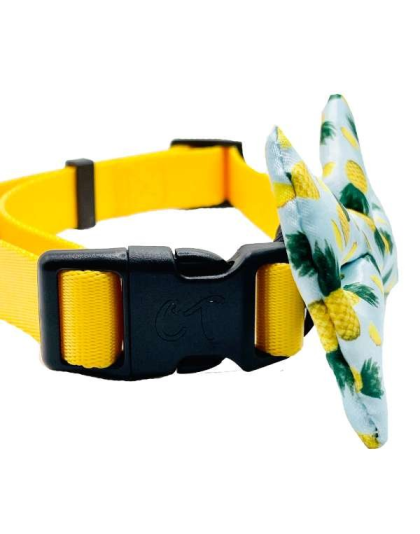 Tropic Like It's Hot - Cutie Ties Dog Bow Tie - One Size