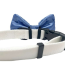 Come Sail Away - Cutie Ties Dog Bow Tie - One Size
