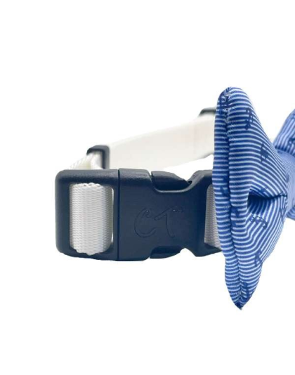 Come Sail Away - Cutie Ties Dog Bow Tie - One Size