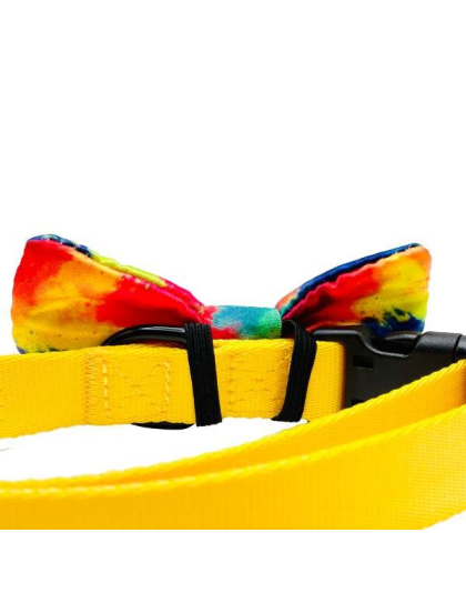 Rainbow Tie Dye - Cutie Ties Dog Bow Tie - One Size