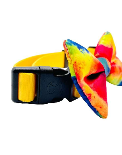 Rainbow Tie Dye - Cutie Ties Dog Bow Tie - One Size