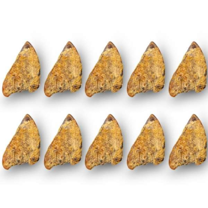Platinum Pet Treats - Super Pig Ears (Pack of 10) - 10 Pack