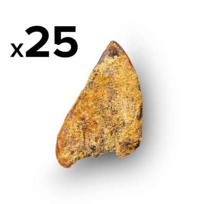 Platinum Pet Treats - Super Pig Ears (Pack of 25) - 25 Pack