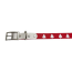 Christmas Tree  - Biothane Buckle Dog Collar - Small/Medium 12-14 inches
