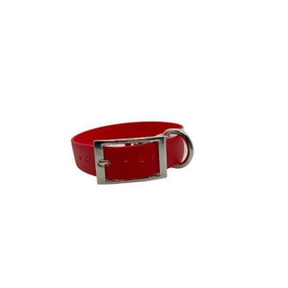 Holiday - Holiday Biothane Buckle Dog Collar - Medium/Large 14-16 inches
