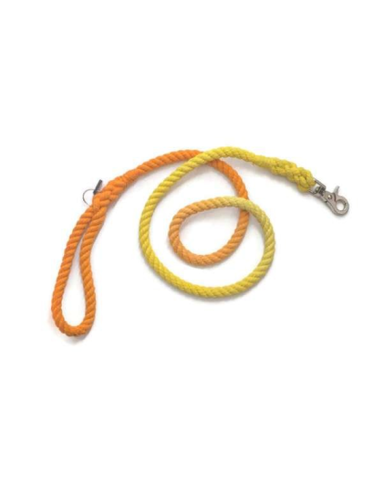 Orange and Yellow  - Rope Dog Leash - Traffic Lead (2 ft)