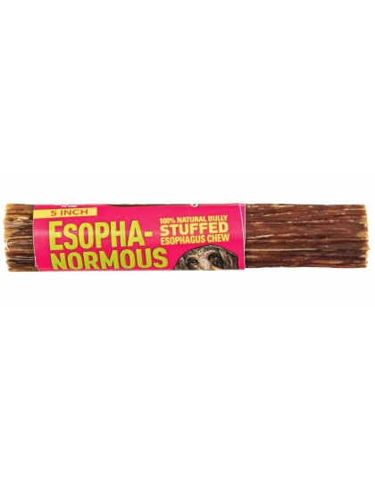 Etta Says! Esopha-normous Bully Stuffed Esophagus Chew 5in 20ct Bag