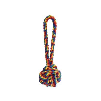 Rainbow - Jax & Bones Celtic Knot Rope Dog Toy   - Small 3"