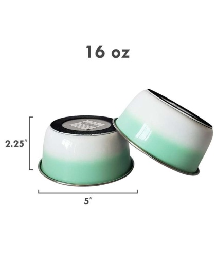 RE Mint - DUROBOLZ Ombre Deep Bowl with Rubber Bottom - 32 oz