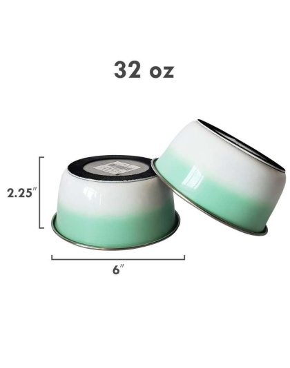 RE Mint - DUROBOLZ Ombre Deep Bowl with Rubber Bottom - 32 oz