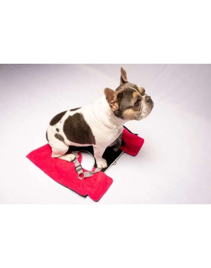 Fuschia - 2-in-1 Travel Dog Vest With Built In Harness - Medium