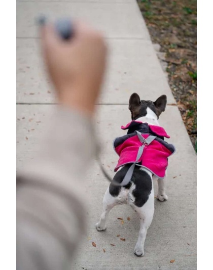 Fuschia - 2-in-1 Travel Dog Vest With Built In Harness - Medium