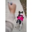 Fuschia - 2-in-1 Travel Dog Vest With Built In Harness - Medium