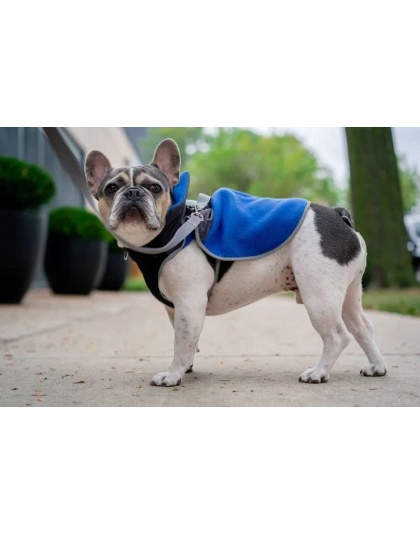 Royal Blue - 2-in-1 Travel Dog Vest With Built In Harness - Large