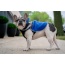 Royal Blue - 2-in-1 Travel Dog Vest With Built In Harness - Large