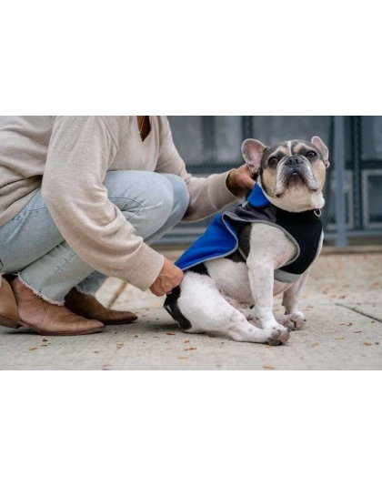 Royal Blue - 2-in-1 Travel Dog Vest With Built In Harness - Medium