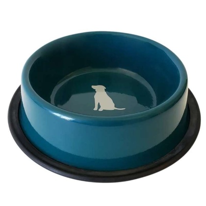 Teal - Nonskid Dog Bowl with Cool Gray Dog Silhouette - 64 oz