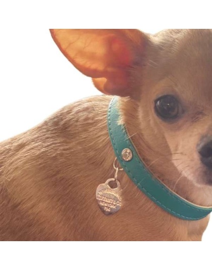 Return to Sniffany Charm Necklace - 16"