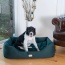 Armarkat Bolstered Dog Bed, Anti-Slip Pet Bed, Laurel Green - XL