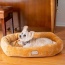 Armarkat Bolstered Pet Bed and Mat, ultra-soft Dog Bed S/M/L - L