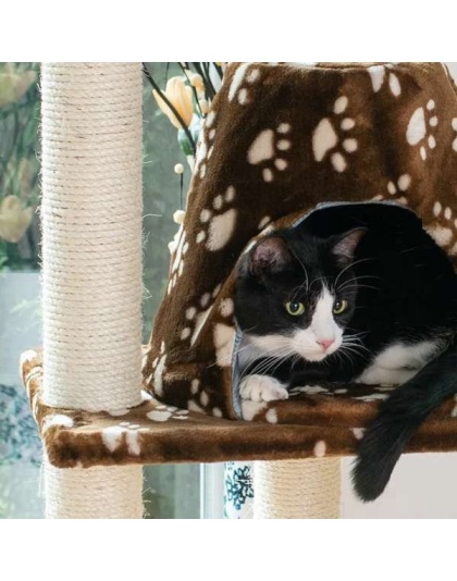 Armarkat Cat Tree Hammock Bed for Cats and Kittens, A6601