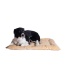 Beige - Armarkat Pet Bed Mat, Dog Crate Soft Pad W Poly Fill Cushion - L
