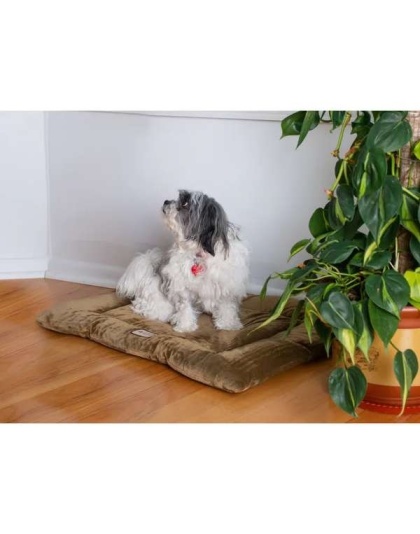 Sage Green - Armarkat Pet Bed Mat, Dog Crate Soft Pad W Poly Fill Cushion - M