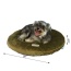Mocha - Armarkat Pet Bed Pad, Poly Fill Dog Cushion Bed M04